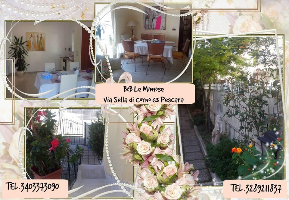 Le Mimose * Pescara